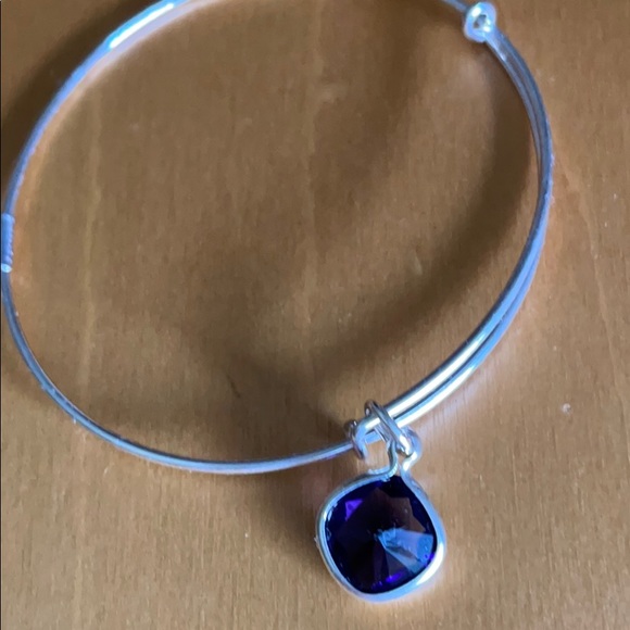 Alex & Ani therapy bangle
